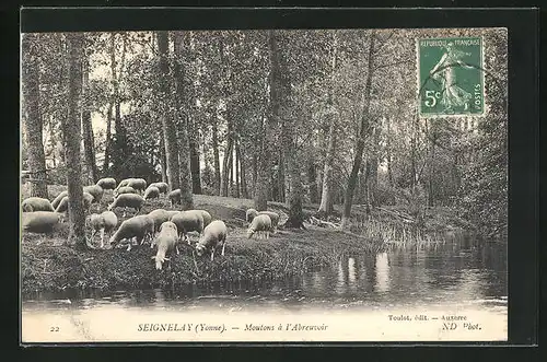 AK Seignelay, Moutons à l`Abreuvoir