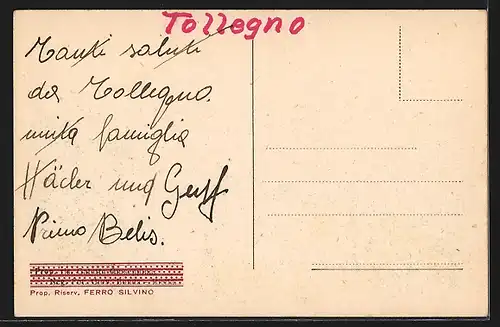 AK Tollegno, Panorama Generale