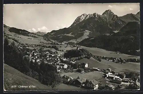 AK Château d`Oex, Teilansicht mit Bergen
