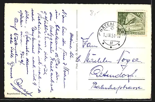 AK Château d`Oex, Teilansicht mit Bergen