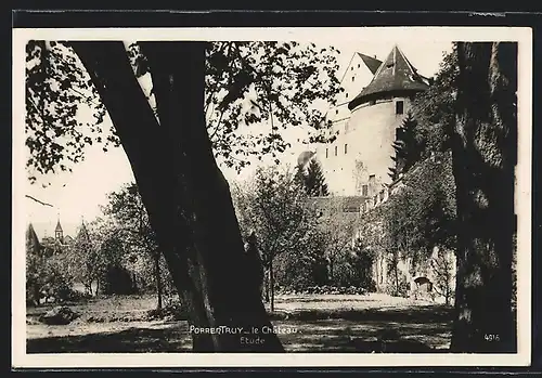 AK Porrentruy, Le Château, Etude