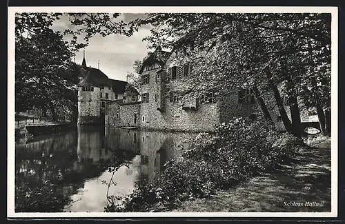 AK Seengen, Schloss Hallwil, Teilansicht