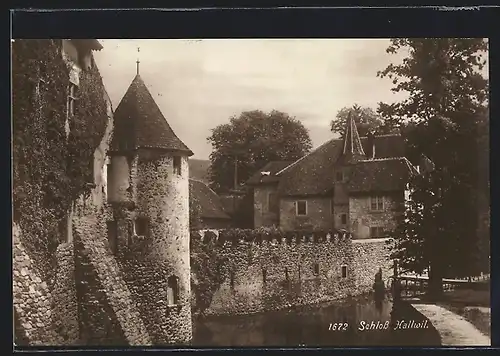 AK Hallwil, Schloss Hallwil