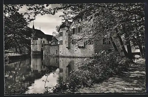 AK Hallwil, Schloss Hallwil