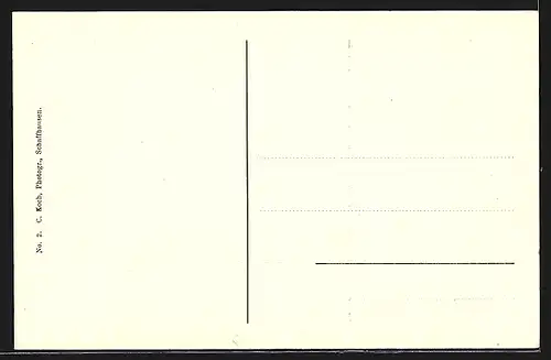 AK Stein am Rhein, Ortsansicht bei Tag