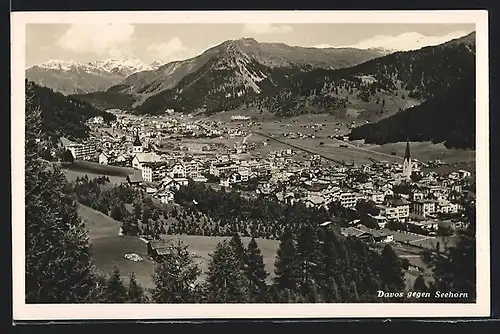 AK Davos, Totale vom Wald aus gesehen