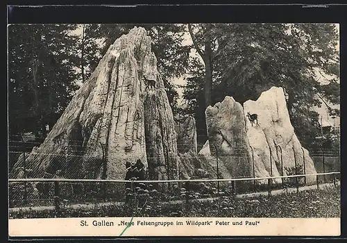 AK St. Gallen, Neue Felsengruppe im Wildpark Peter und Paul