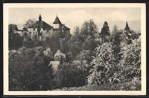 AK Kyburg, Blick auf das Schloss