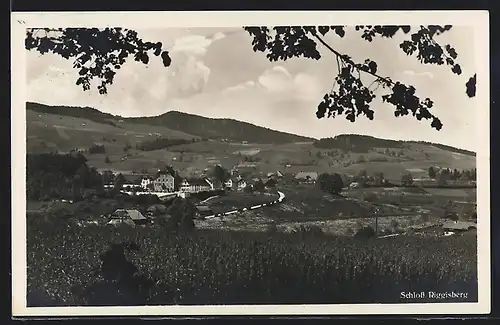 AK Riggisberg, Ortsansicht mit Schloss
