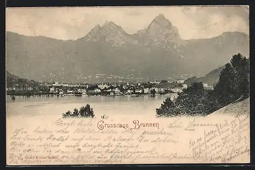 AK Brunnen, Ortsansicht vom Wasser aus