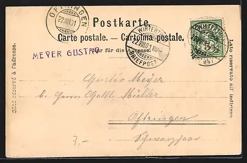 AK Schaffhausen, Dampfer liegt vor Ort