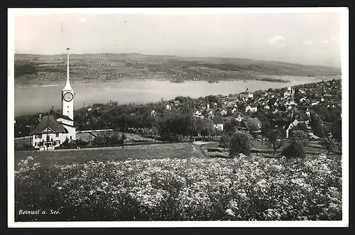 AK Beinwil, Ortsansicht aus der Vogelschau