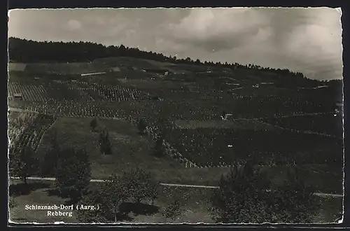 AK Schinznach-Dorf, Blick auf den Rebberg