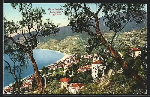 AK Ospedaletti, Panorama fra gli ulivi
