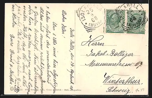 AK Stresa, Panorama generale