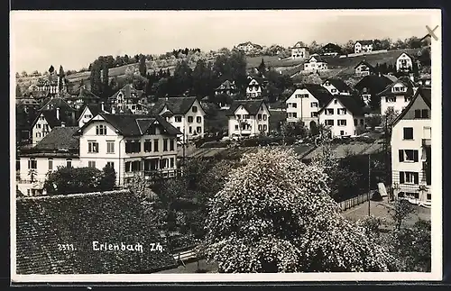 AK Erlenbach, Ortsansicht mit Wohnhäusern