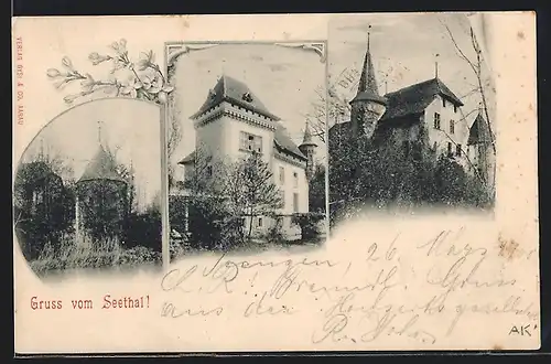 AK Seengen, Gruss vom Seethal