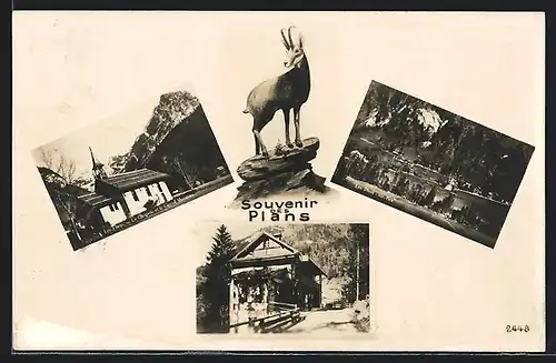 AK Les Plans, La Chapelle et le Grand Muverau, Panorama sur Bex