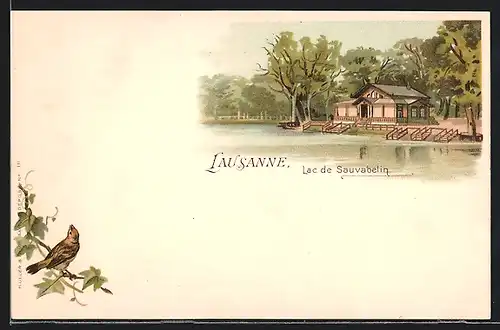 Lithographie Lausanne, Haus am Lac de Sauvabelin