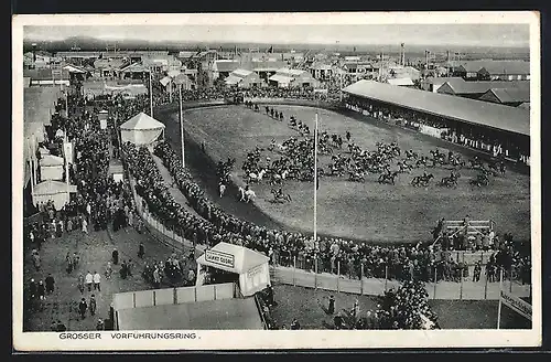 AK Erfurt, 1. Reichsnährstands-Ausstellung 1934, Grosser Vorführungsring