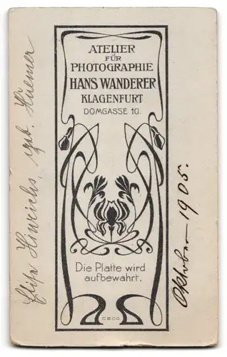 Fotografie Hans Wanderer, Klagenfurt, Frau Elise Hiweichs im dunklen bestickten Kleid