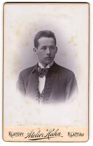 Fotografie Atelier Hahn, Klattau, junger Mann Franz im Anzug mit Halstuch, 1898