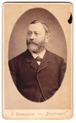 Fotografie F. Brandseph, Stuttgart, Herr Ludwig Wussner im Anzug