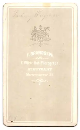 Fotografie F. Brandseph, Stuttgart, Herr Ludwig Wussner im Anzug