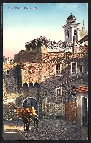 AK San Remo, Città vecchia, Strasse mit Esel