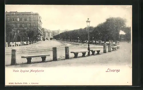 AK Livorno, Viale Regina Margherita