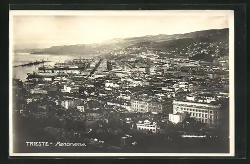 AK Trieste, Panoramablick auf die Stadt
