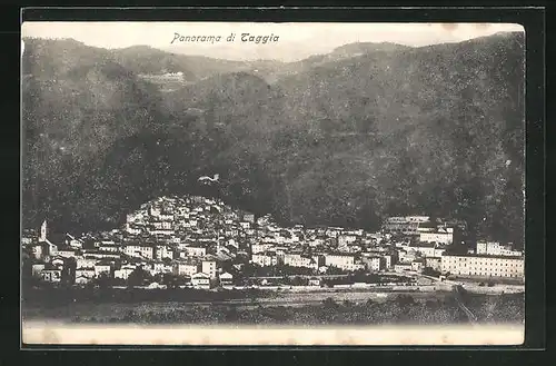AK Taggia, Panorama