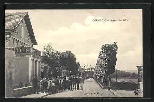 AK Courlon, Avenue des Tilleuls, Lindenstrasse