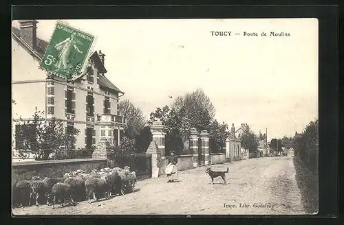 AK Toucy, Route de Moulins, Strassenpartie