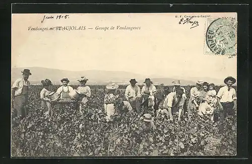 AK Beaujolais, Les Vendanges, Groupe de Vendangeurs