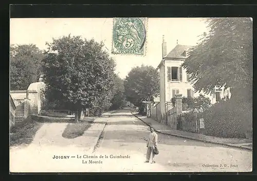 AK Joigny, Le Chemin de la Guimbarde, la Montée