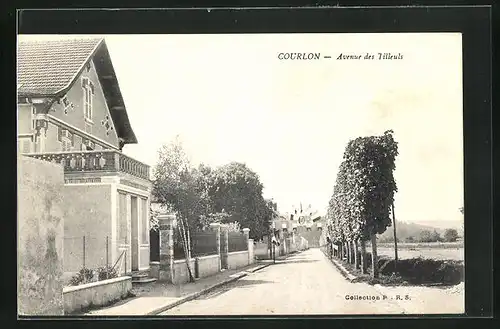 AK Courlon, Avenue des Tilleuls