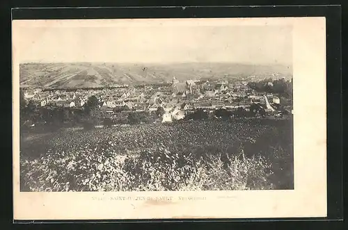 AK Saint-Julien-du-Sault, Vue Générale