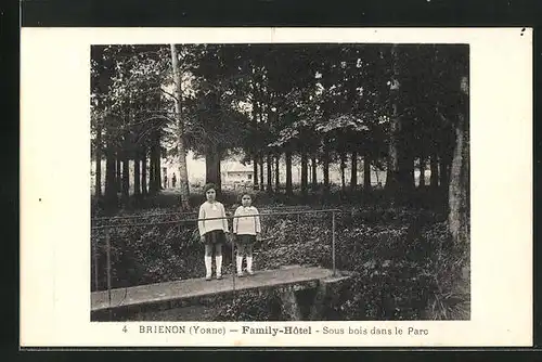 AK Brienon, Family-Hotel, Sous bois dans le Parc