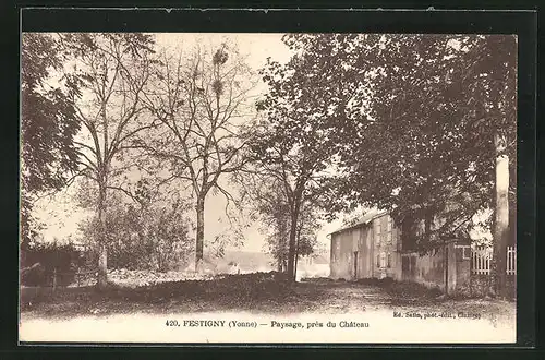 AK Festigny, Paysage, prés du Château