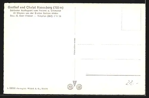 AK Widen, Gasthof und Chalet Hasenberg E. Exer-Fricker, Gesamtansicht mit Bergpanorama