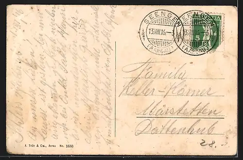 AK Seengen, Hirsch im Hirschpark, Panorama vom Eichenberg