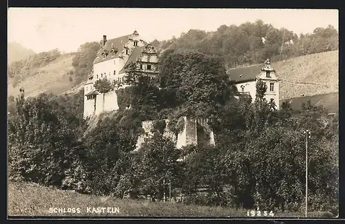 AK Schinznach, Schloss Kasteln mit Umgebung