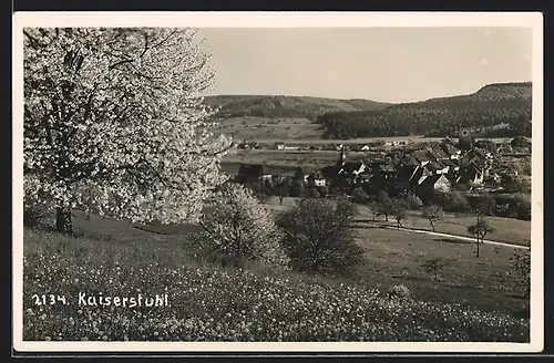 AK Kaiserstuhl, Gesamtansicht von einer Wiese aus