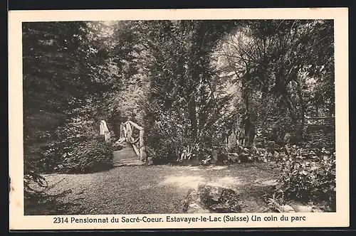 AK Estavayer-le-Lac, Pensionnat du Sacré-Coeur, Un coin du parc