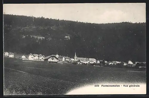 AK Fontainemelon, Vue générale