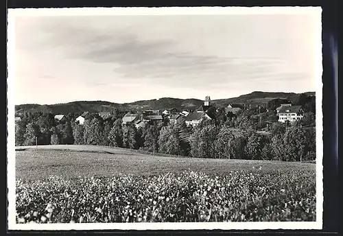 AK Wildberg, Blick über Sommerwiesen auf den Ort