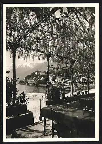 AK Ascona, Albergo Elvetia Clycine Blüte, Terrasse mit See- und Ortsblick