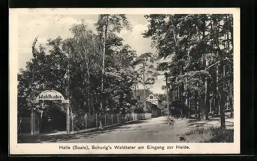 AK Halle / Saale, Gasthaus Waldkater am Eingang zur Heide