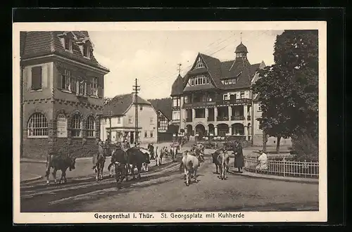 AK Georgenthal i. Thür., St. Georgsplatz mit Kuhherde